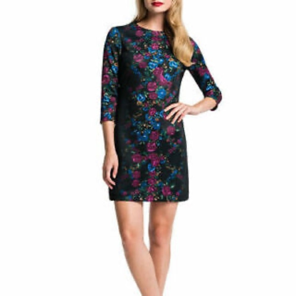 Cynthia Steffe Blythe Floral Print Shift Dress